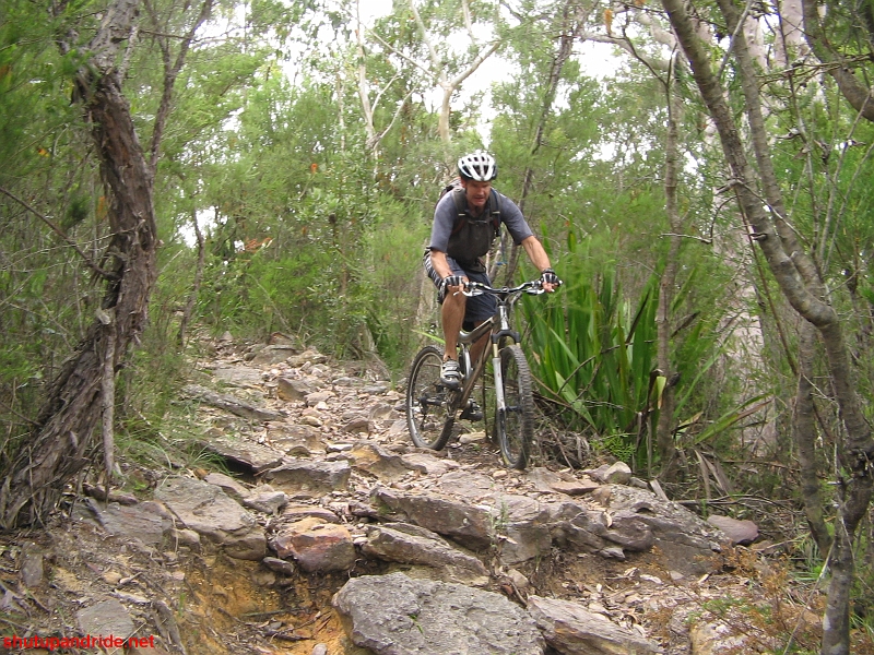 20090405-Mooney 225.jpg